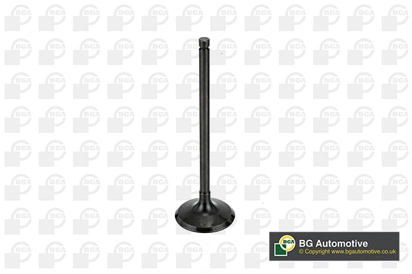 Intake Valve V998745