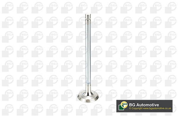 Exhaust Valve V998717
