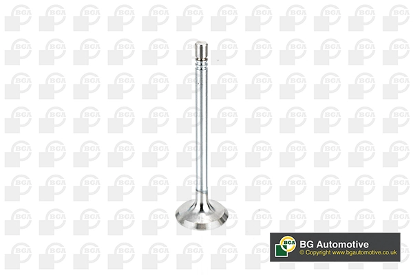 Intake Valve V164660