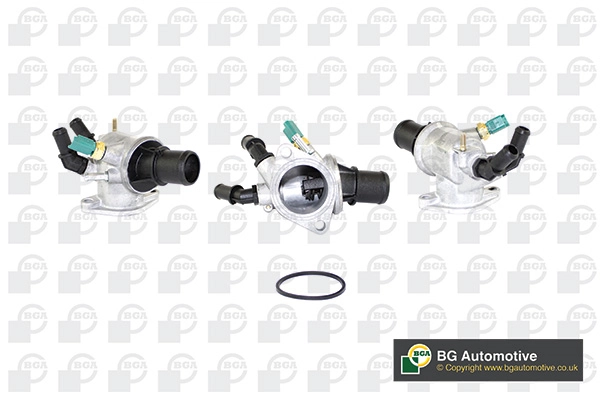 Thermostat, coolant CT5059