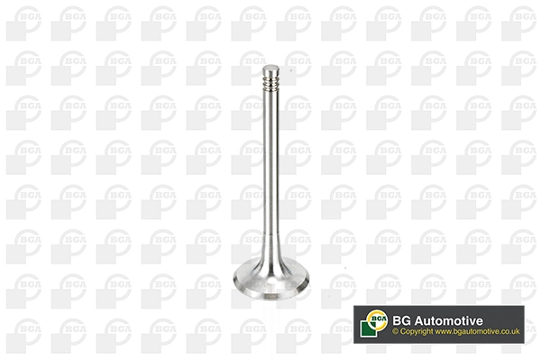 Intake Valve V163720