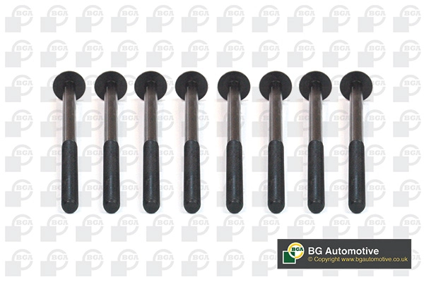 Cylinder Head Bolt Set BK5930