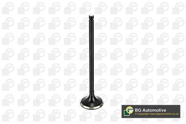Exhaust Valve V165411