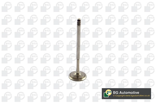 Injap Masuk V090108