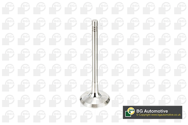 Exhaust Valve V991760