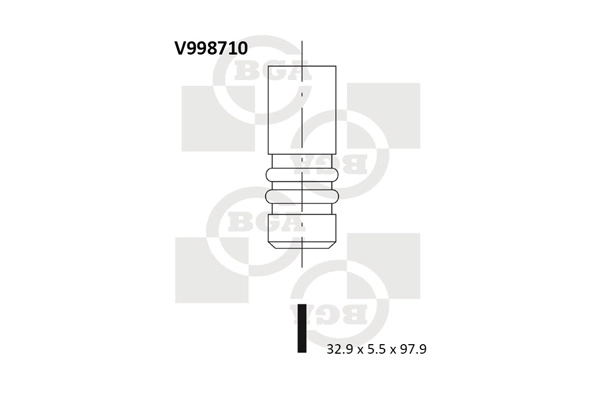 Intake Valve V998710