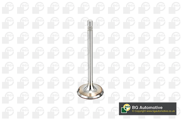 Intake Valve V164520
