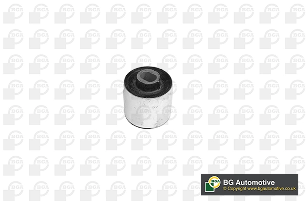 Mounting, control/trailing arm BU5627