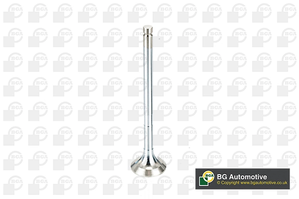 Exhaust Valve V991909