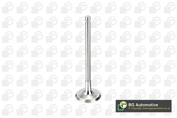 Intake Valve V998716
