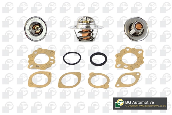 Thermostat, coolant CT5530K