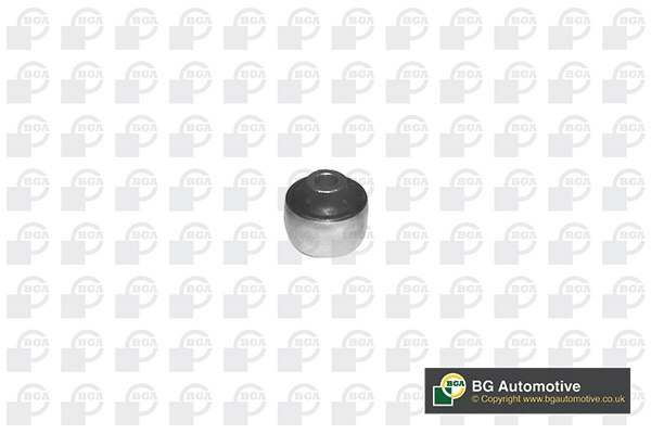 Mounting, control/trailing arm BU2371