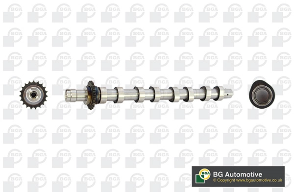 Camshaft CS5531