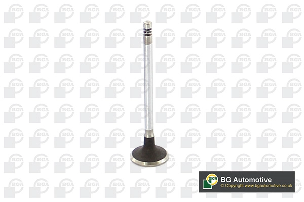 Intake Valve V149486