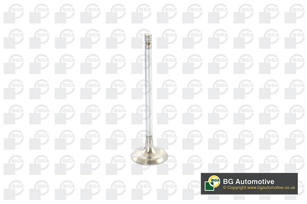 Intake Valve V917010