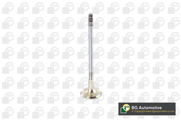 Exhaust Valve V090101