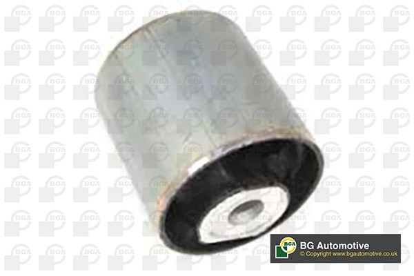 Mounting, control/trailing arm BU4231