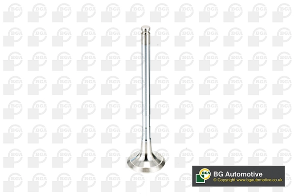 Exhaust Valve V991774