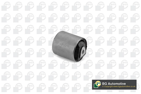 Mounting, control/trailing arm BU0924