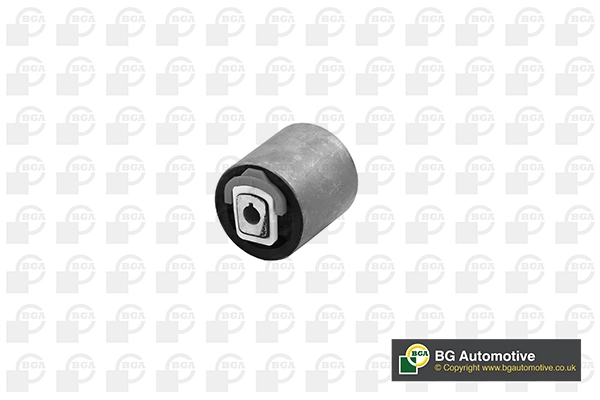 Mounting, control/trailing arm BU0122