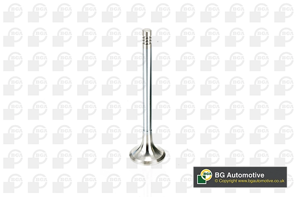 Exhaust Valve V165961