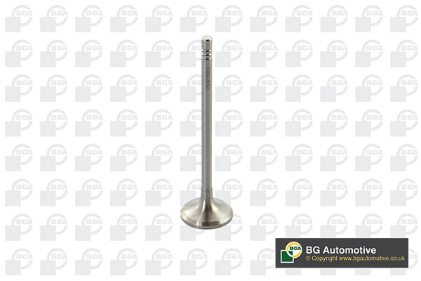 Intake Valve V591500