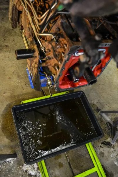 Collection Pan 197-50