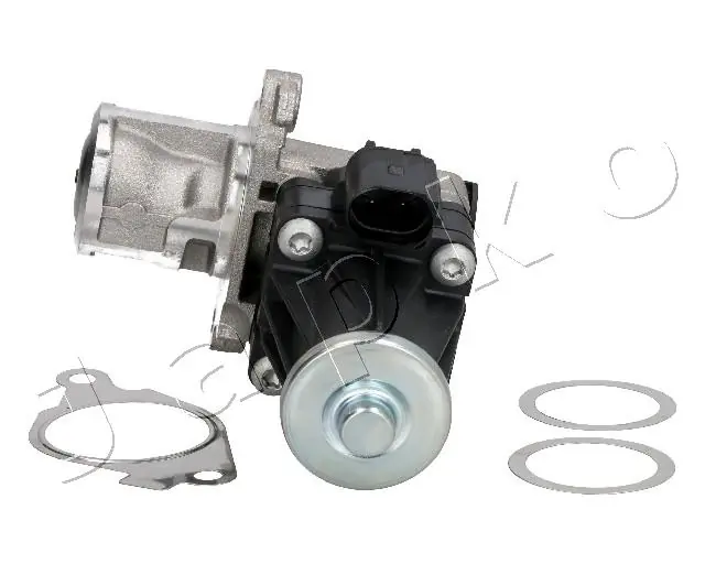 EGR Valve 1500200