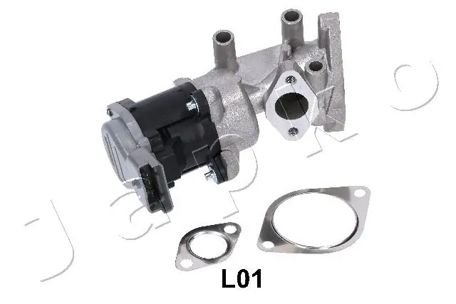 EGR Valve 150L01