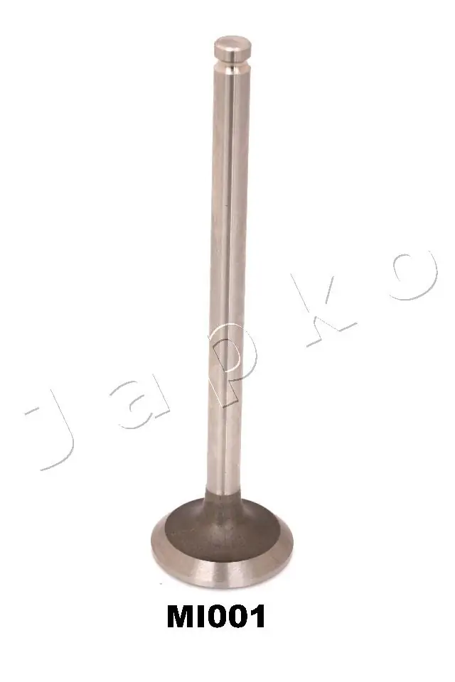 Exhaust Valve 5MI001