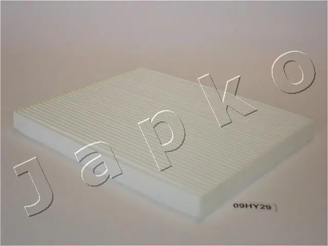 Filter, cabin air 21H29