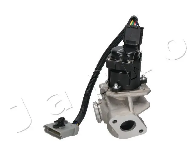EGR Valve 1500306
