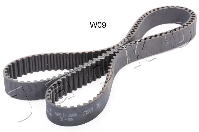 Timing Belt 40W09