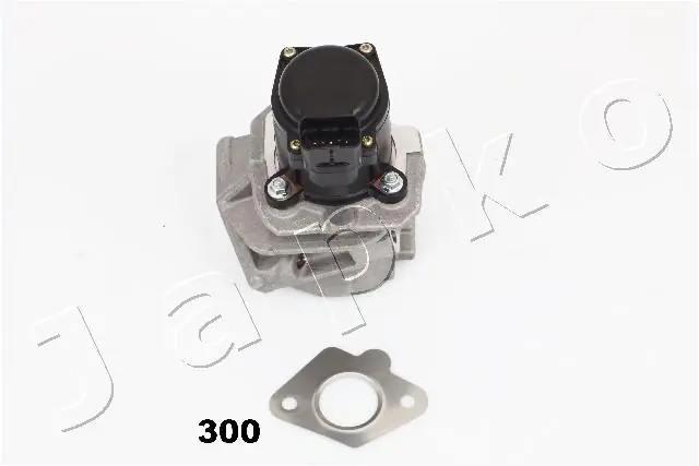 EGR Valve 150300