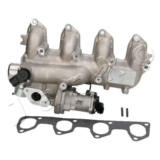 EGR Valve 1500312