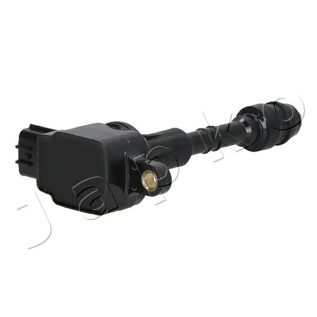 Ignition Coil 78119