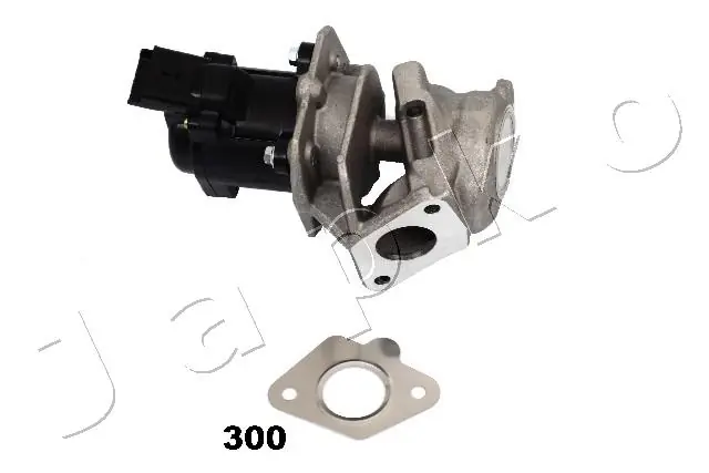 EGR Valve 150300