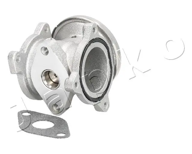 EGR Valve 1500905