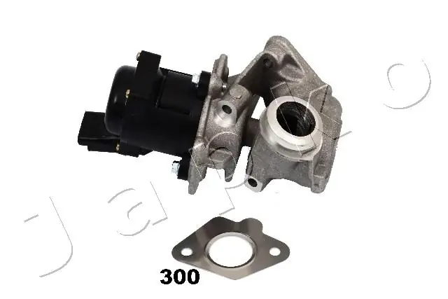 EGR Valve 150300