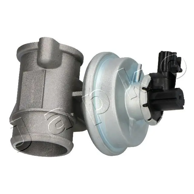 EGR Valve 1500305