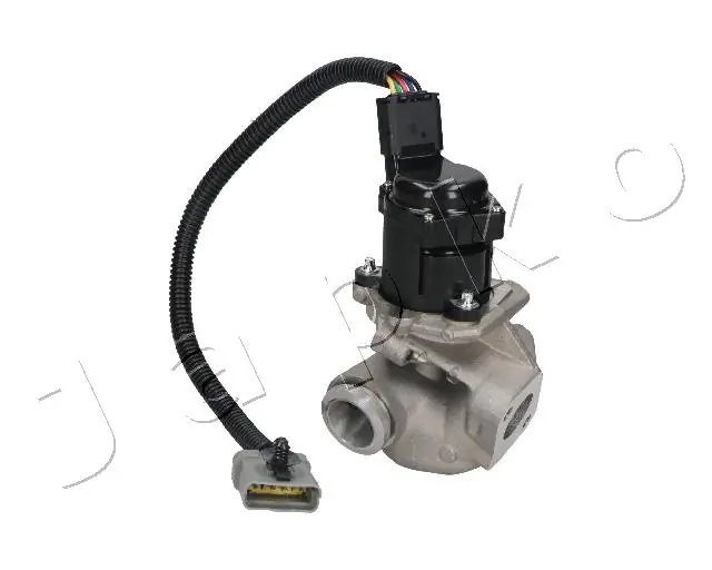 EGR Valve 1500306