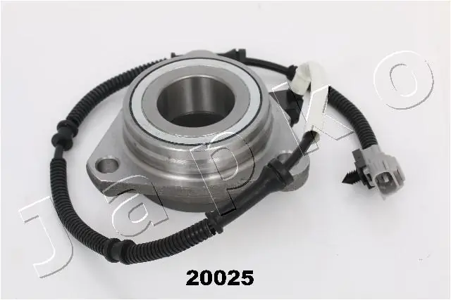 Wheel Hub 420025