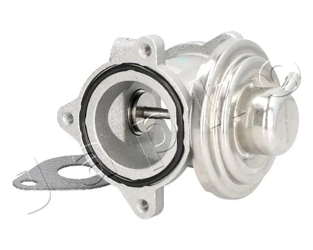EGR Valve 1500905