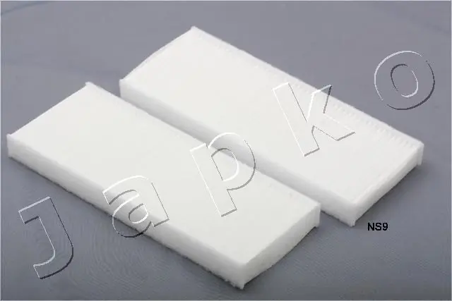 Filter, cabin air 21NS9