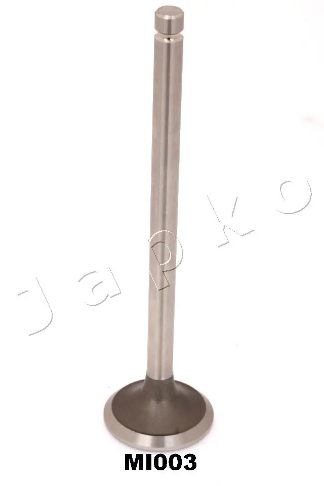 Exhaust Valve 5MI003