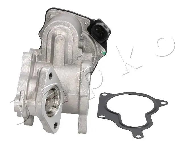 EGR Valve 1500903