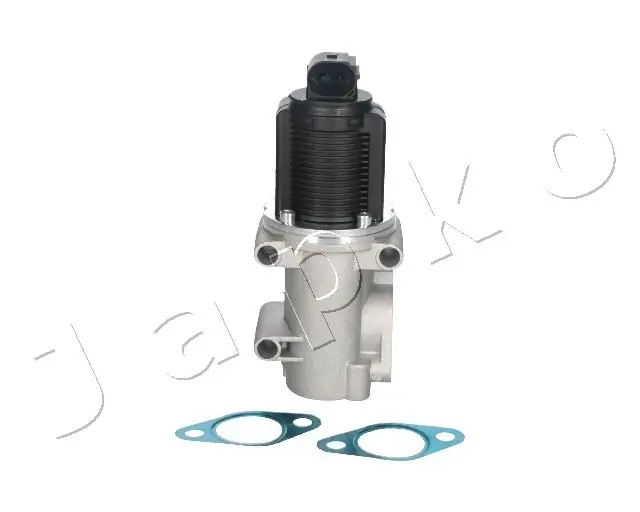 EGR Valve 1500203