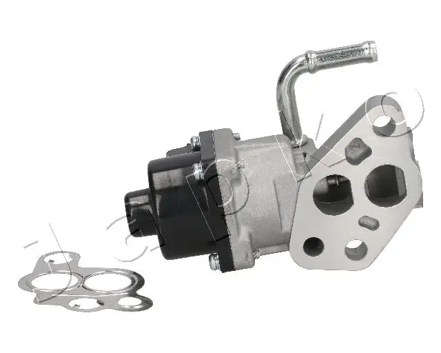 EGR Valve 1500307