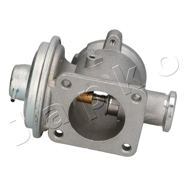 EGR Valve 1500100