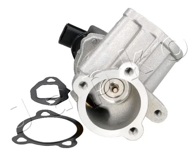 EGR Valve 1500201